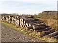 SS2819 : Stack of timber, Summerwell Moor Plantation by David Hawgood