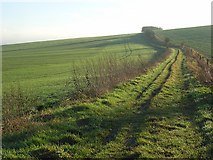 SU6184 : Bridleway on Watch Folly, South Stoke by Andrew Smith