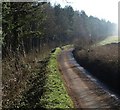 Lane past School Wood