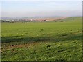 Farmland, Ipsden