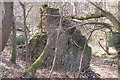 Remains of a cottage in Clicket village