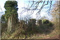 Ivy covered remains of Thorn Farm, Clicket