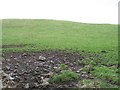 NO1111 : Hill top pasture, Glenfarg by Richard Webb