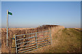 Footpath through the stubble