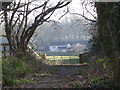 Footpath through the woods