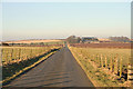 Road to the north of Mildenhill