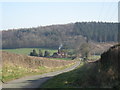 Down the lane to Pilgrim Cottage