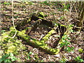 Colliery tub chassis