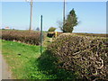 Footpath to Birds Hill