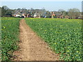 Footpath to Appleby Magna