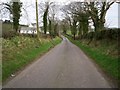 J2056 : Forthill Road, Dromore by P Flannagan