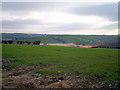 Whinny Island and The Big Bog, Dromore