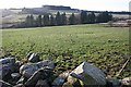 Cairns of Mayen from Tillydown