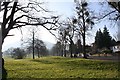 Double Row of Trees, Malvern Link Common