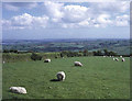 Farmland at Sevenstones