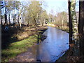 Icy Bridleway, Thursley Common