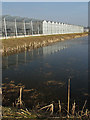 Glasshouses near Ellerker