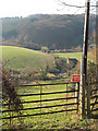 Footpath to Hazel Hill