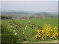 Windfarm, in distance