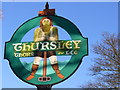 Thursley Village Sign