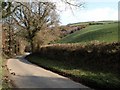 Terracettes above lane near Birchill Farm