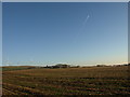 Stubble Field