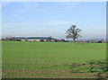 SO8294 : Crop Fields west of Seisdon, Staffordshire by Roger  D Kidd