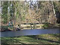 Pond and ornamental bridge, Little Durnford Manor