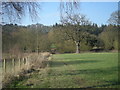 Path from the Severn Way to the nearby lane