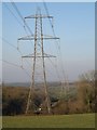 Pylon line, Thorne Wood