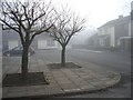 Orangefield in the fog and mist