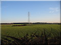 Borders farmland