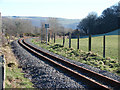 SN6479 : Vale of Rheidol Railway track by John Lucas