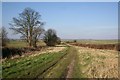 Bridleway from Springwalk Cottage