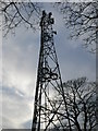 Mast north of Llong