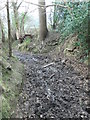 Muddy bridleway