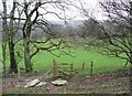 Footpath to Aberedw