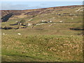 East Allen Dale near Tedham