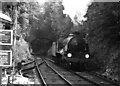 SU5832 : Alresford, Mid-Hants Railway by Dr Neil Clifton