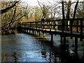 Wherwell - Footbridge Viewed From the Waters Edge