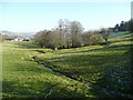 Brook near Bwlch Farm