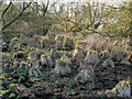 Wherwell - Grassy Mounds