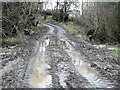 Track approaching Penisarplwyf