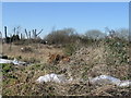 Wasteland to the NW of Minters industrial estate