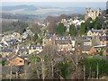 Selkirk from The Haining Estate