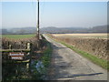 Driveway to Sheinwood Farm