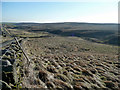 Hindon Beck valley