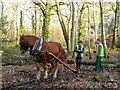 Valley Park - Logging the Old Fashion Way