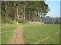 Footpath past Hill Plantation