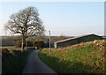 Approaching East Bridge Farm